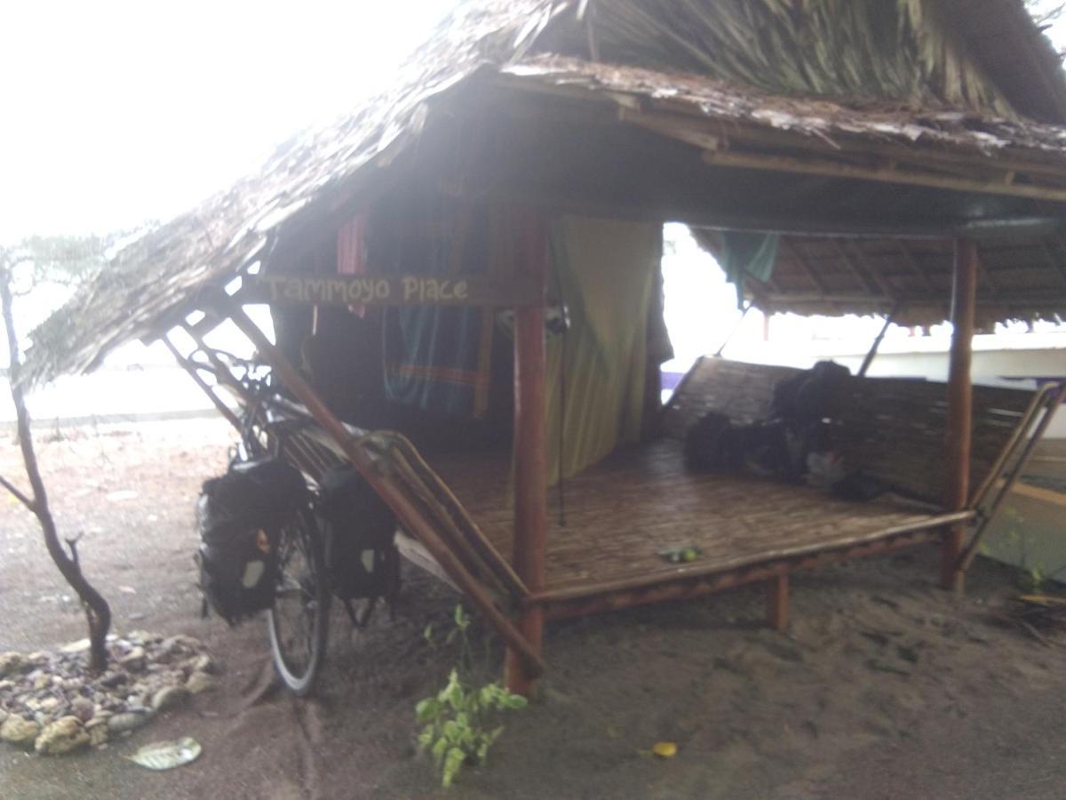 Tammoyo Place Kudat Ngoại thất bức ảnh